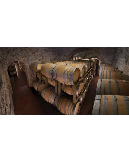 Amarone Villa OPPI 1524