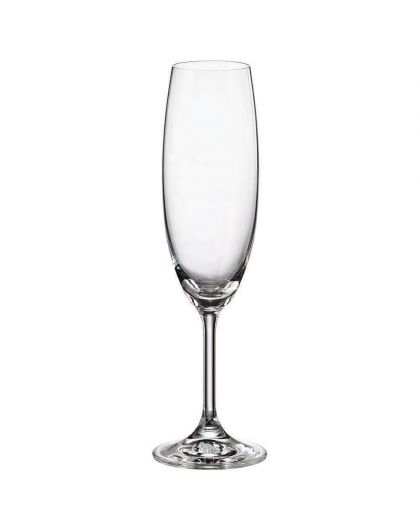 6 Bohemia Crystal  Champagne glasses "Fiora"