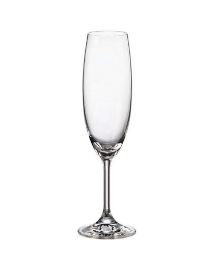 2 Bohemia Crystal  Champagne glasses "Fiora Love"
