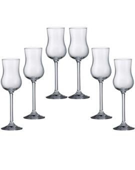 6 Bohemia Crystal Liquor glasses "Colibri"