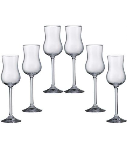 6 Bohemia Crystal Liquor glasses "Colibri"