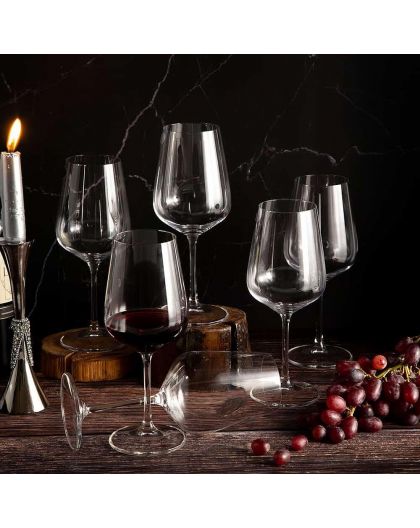 6 bohemia crystal white wine glasses "Fiora Tori"