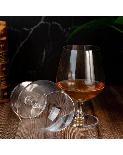 6 Bohemia Crystal Cognac glasses "Strix"