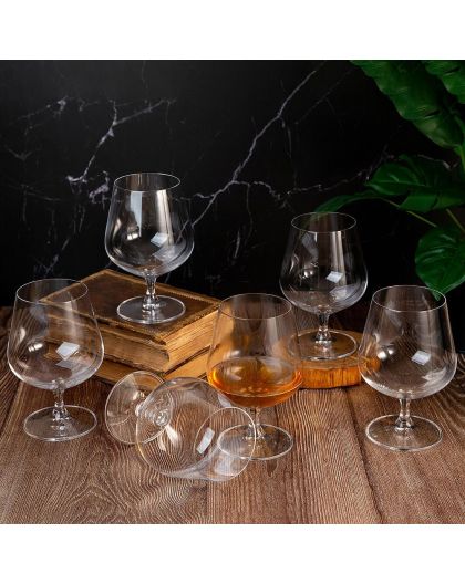 6 Bohemia Crystal Cognac glasses "Strix"