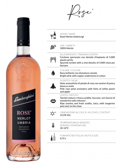 LAMBORGHINI wine ROSÉ MERLOT UMBRIA IGT