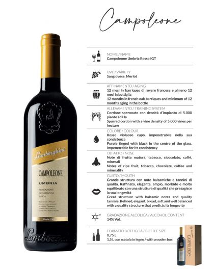 Lamborghini wine Torami IGT Umbria