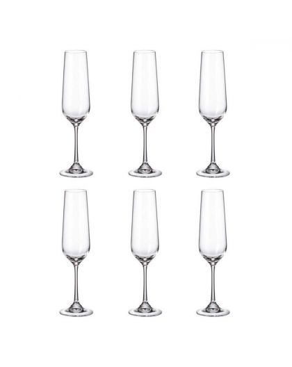 6 Bohemia crystal champagne / sparkling glasses "Strix"