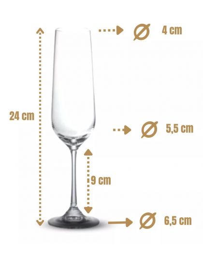 6 Bohemia crystal champagne / sparkling glasses "Strix"
