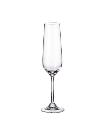 6 Bohemia crystal champagne / sparkling glasses "Strix"