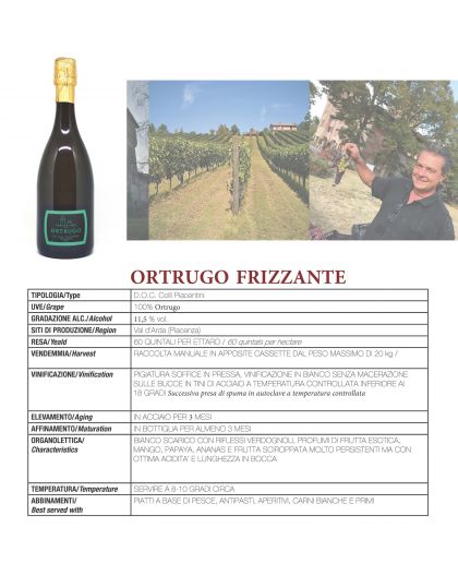 Villa Oppi, Ortrugo Frizzante, D.O.C.