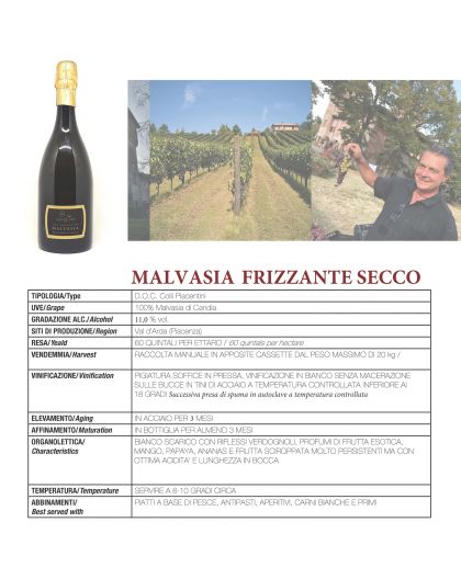 Villa Oppi, Malvasia Secco Frizzante, D.O.C.