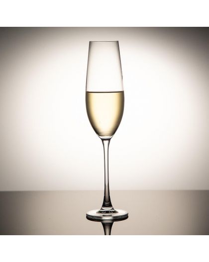 6 Bohemia crystal champagne / sparkling glasses "Columba"