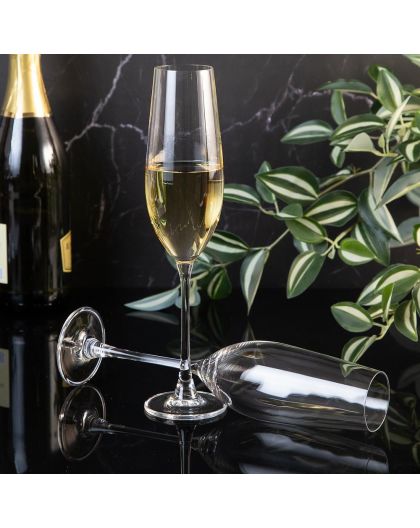 6 Bohemia crystal champagne / sparkling glasses "Columba"