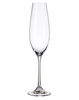 6 Bohemia crystal champagne / sparkling glasses "Columba"