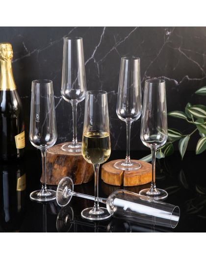 6 Bohemia crystal champagne / sparkling glasses "Ardea"