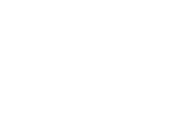 VIP POWER