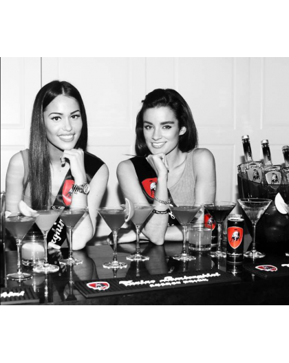 Pack vodka / energy drink
