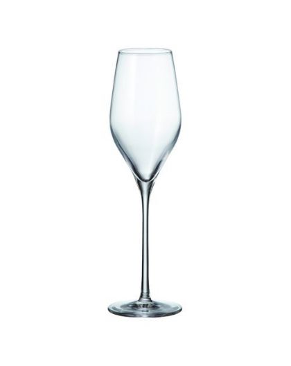 2 Bohemia Crystal CHAMPAGNE / SPARKLING WINE GLASSES