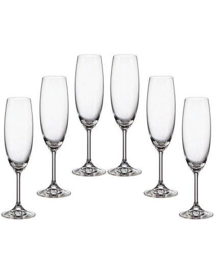 6 Bohemia Crystal  Champagne glasses "Fiora"