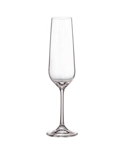 6 Bohemia Crystal  Champagne glasses "Fiora Tori"