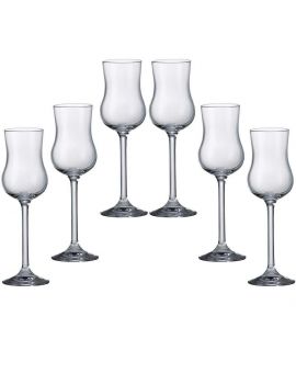 6 Bohemia Crystal Liquor glasses "Colibri"