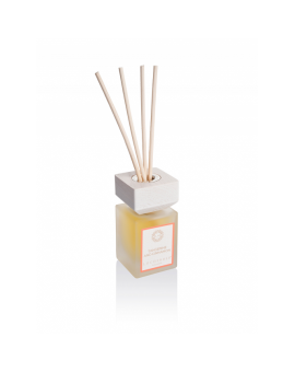Diffuser Tangerine and Cinnamon