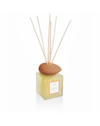 Diffuser Tangerine and Cinnamon