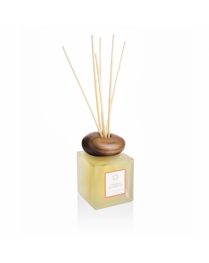 Diffuser Tangerine and Cinnamon