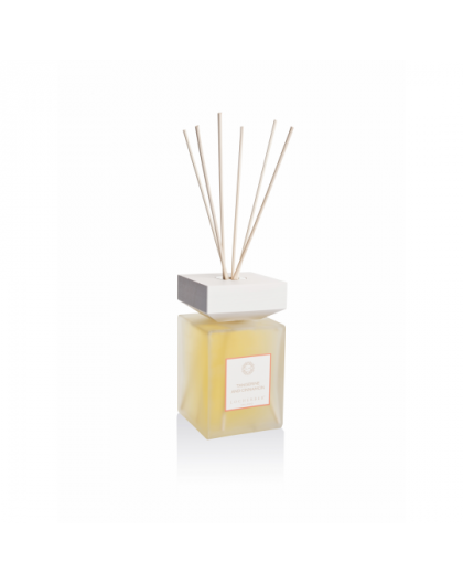 Diffuser Tangerine and Cinnamon