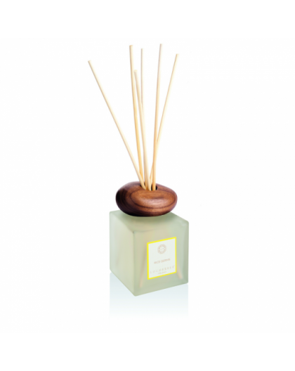 Diffuser Rice Germs