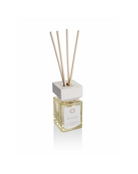 Diffuser Spa Essence