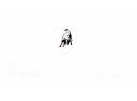 TONINO LAMBORGHINI